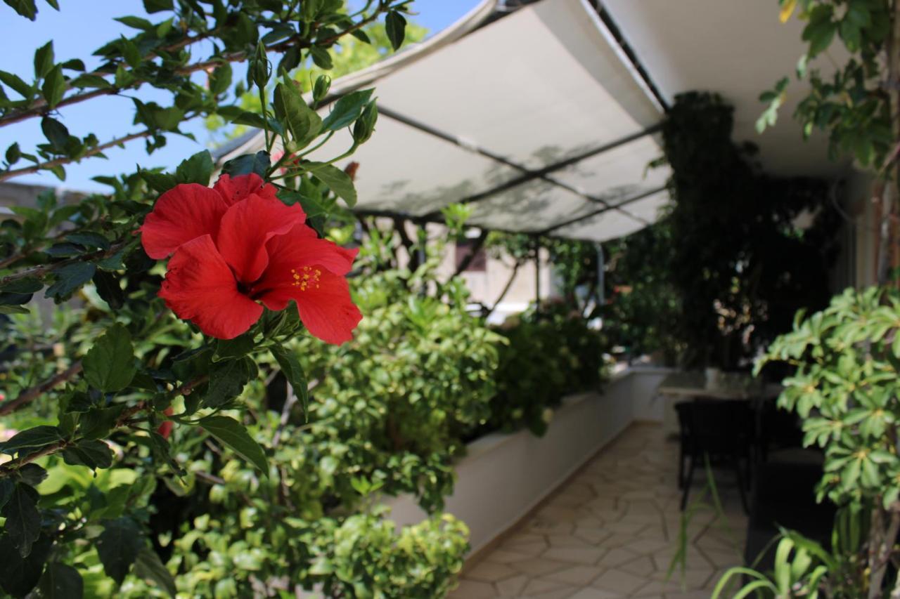 Apartments & Rooms Anita Hvar Town Zewnętrze zdjęcie